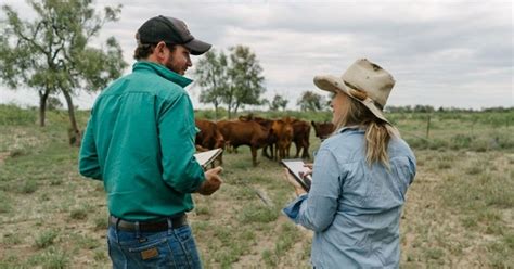 Buy Australian shares listed on the ASX, trade online or on your mobile and learn about the stock market. . Farm clearing sales tamworth
